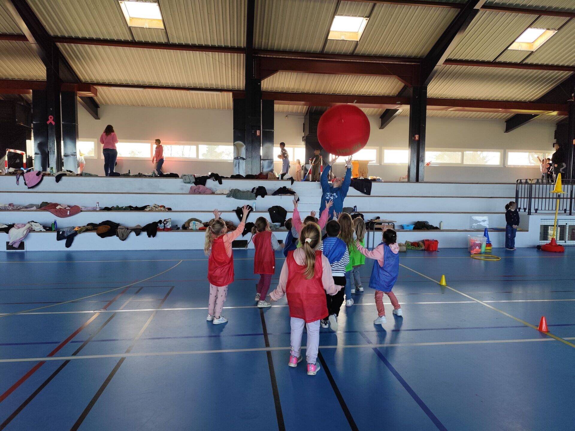 Initiation au kinball avec les élèves de cycle 2