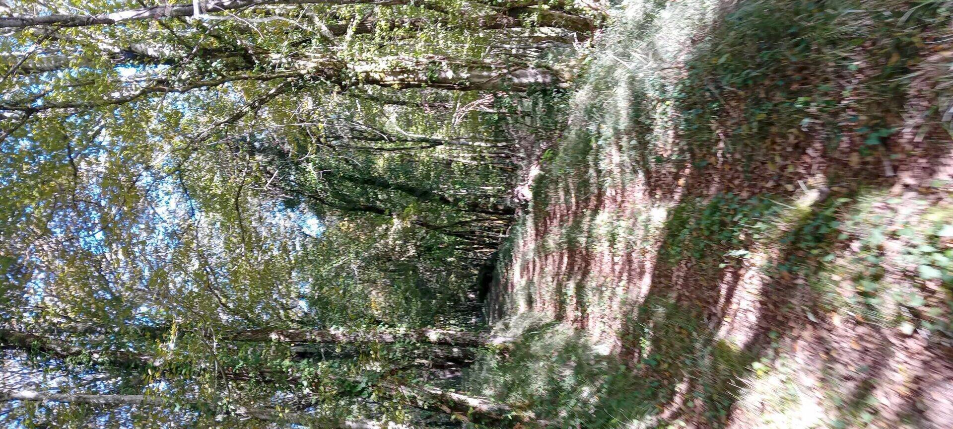 20260915_093309.jpg