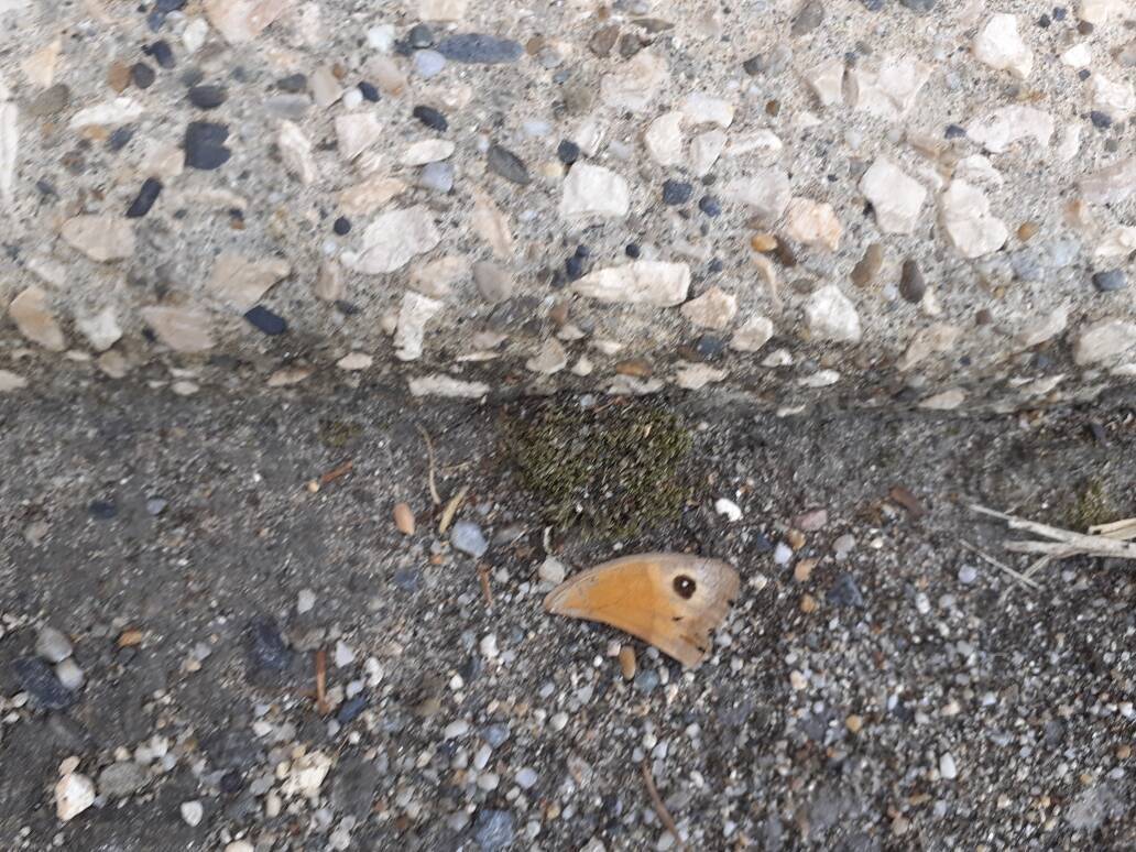 20260917_142953.jpg