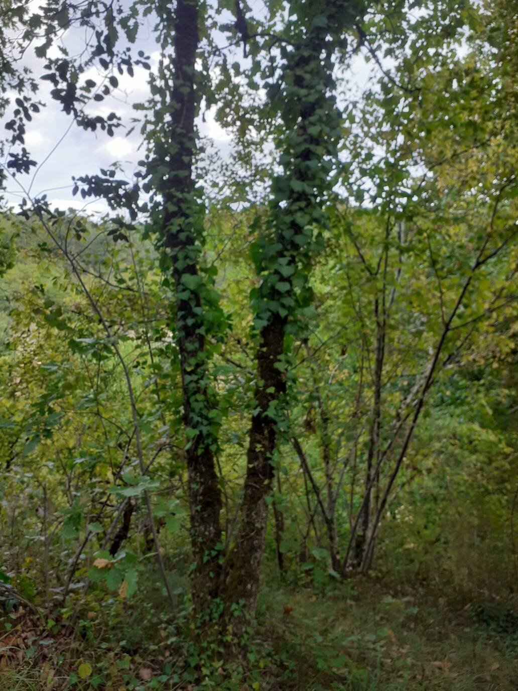20260917_144058.jpg