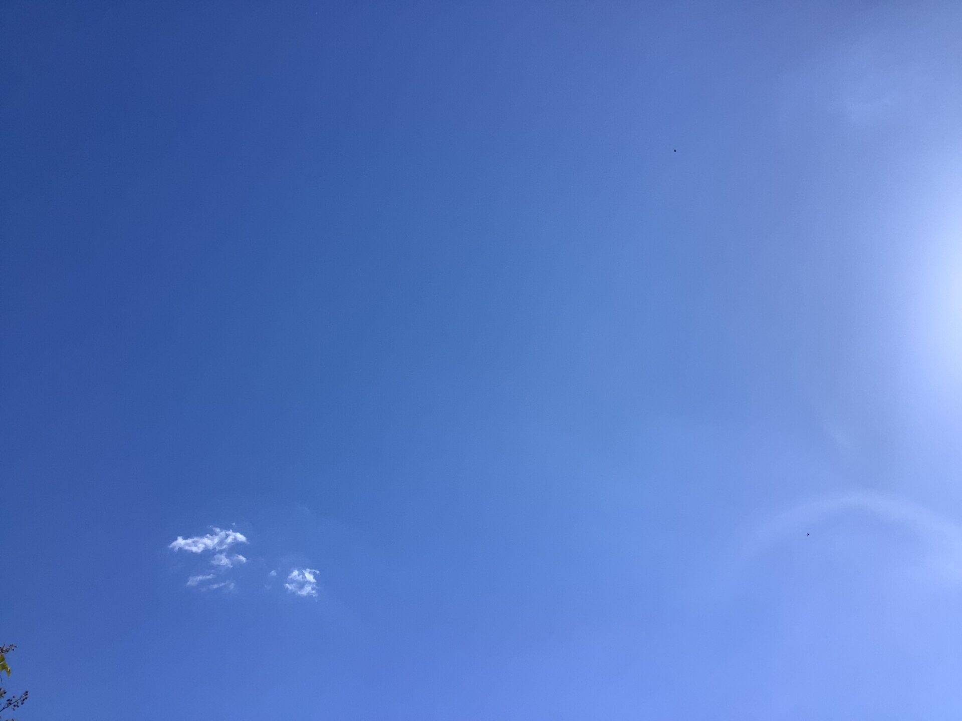 img_0108.jpeg