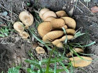 photo10.jpg