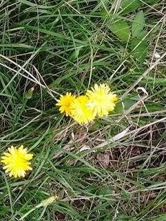 photo7.jpg