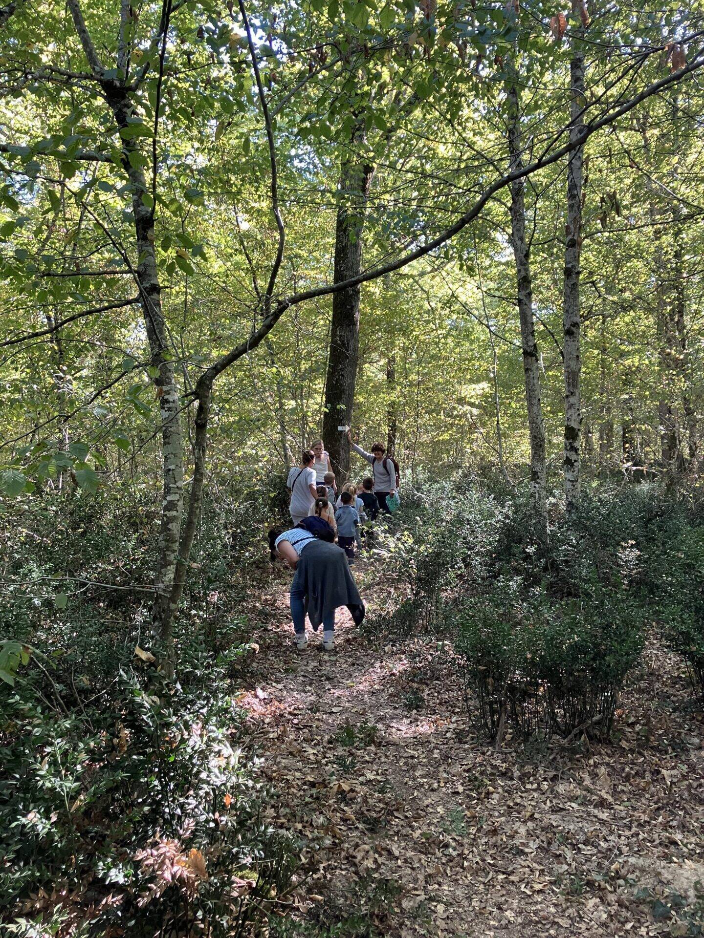 foret6701.jpg