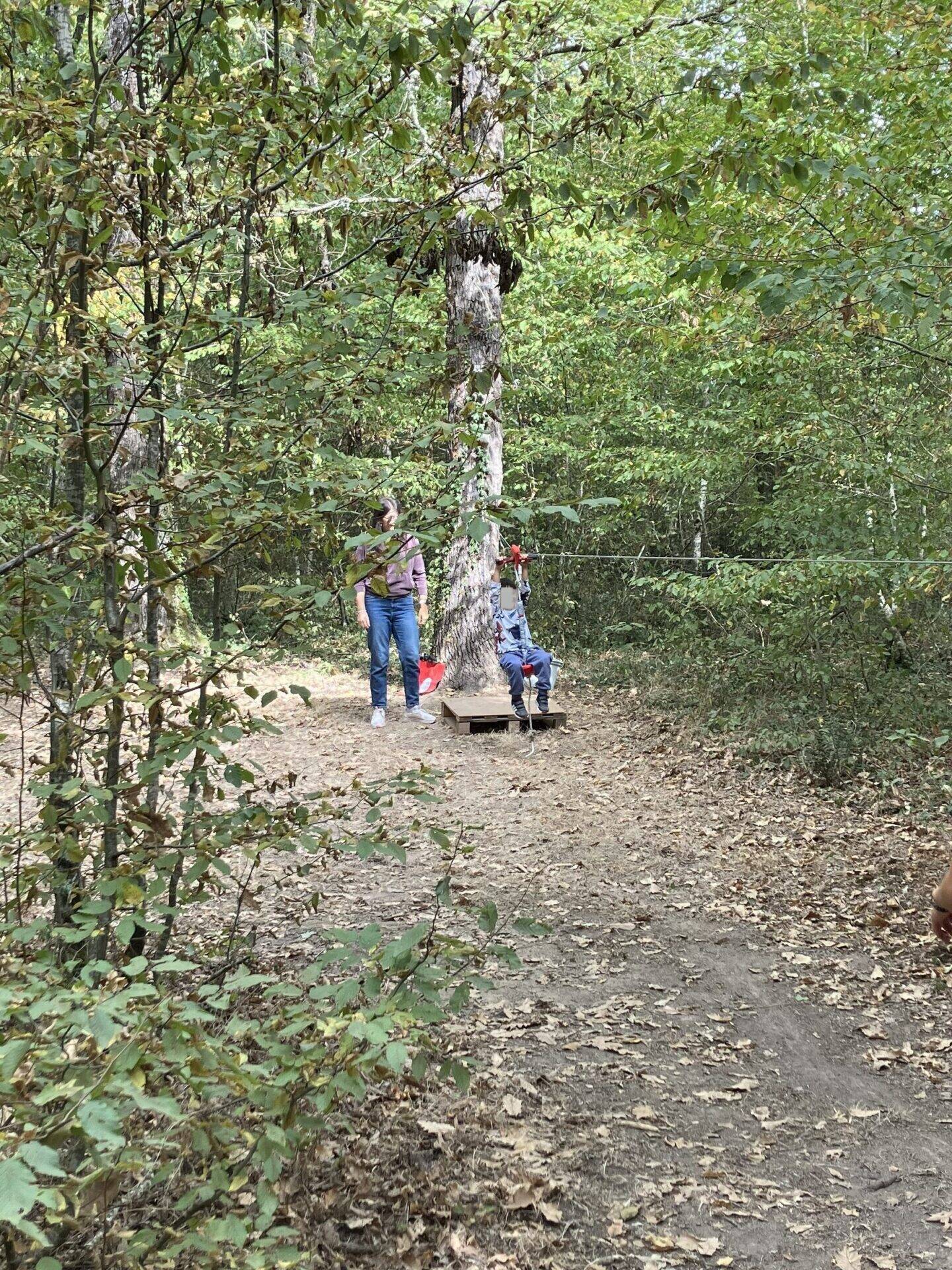 foret6725.jpg