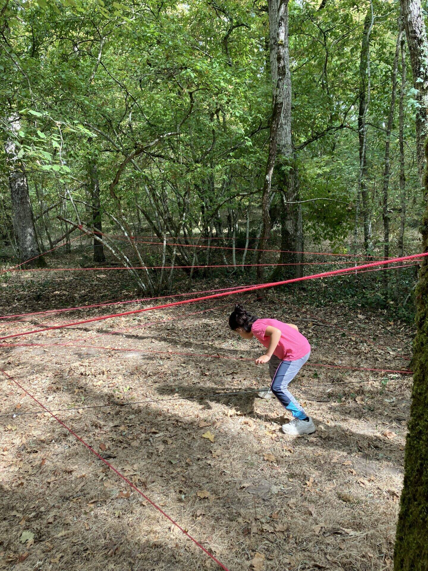foret6728ok.jpg
