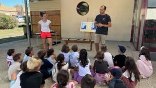 img_431511.jpg
