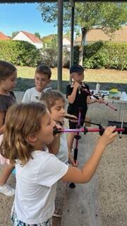 img_433011.jpg