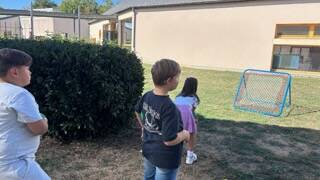 img_433311.jpg