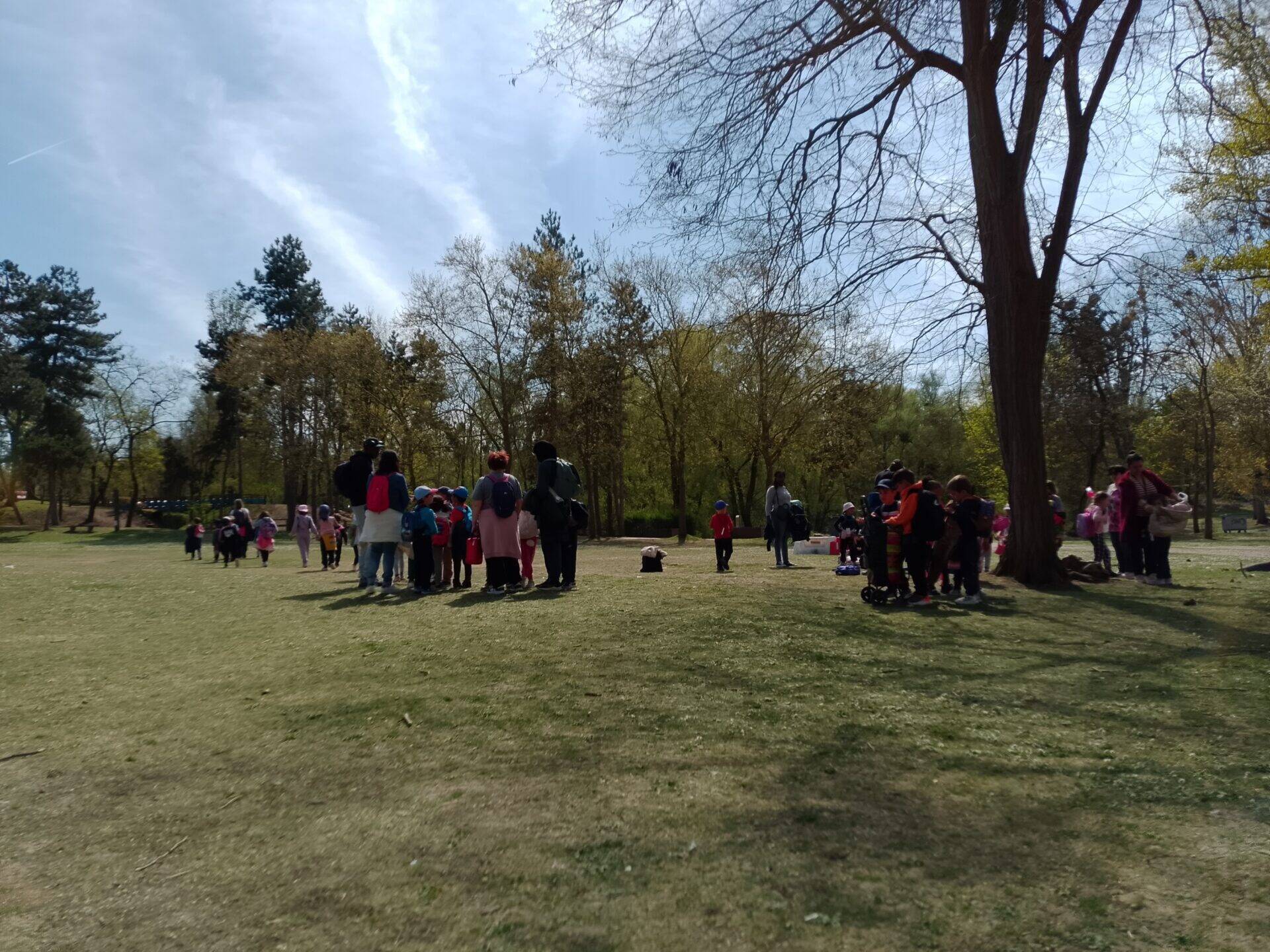 img_20250408_150711.jpg